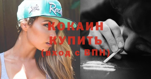 ГАЛЛЮЦИНОГЕННЫЕ ГРИБЫ Тайга