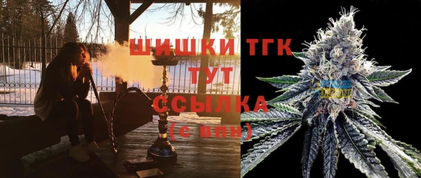 гидра Балахна