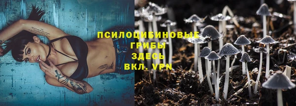 гидра Балахна